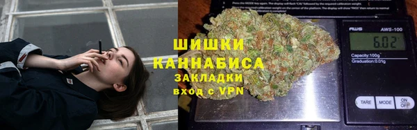 гашик Арсеньев