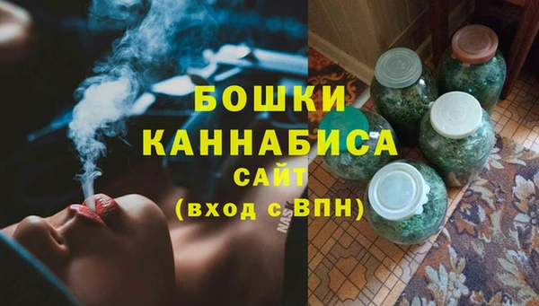 гашик Арсеньев