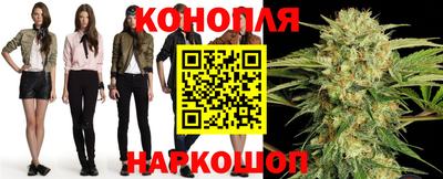 дмт Гатчина