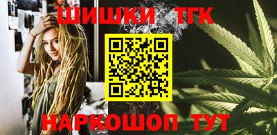 дмт Гатчина