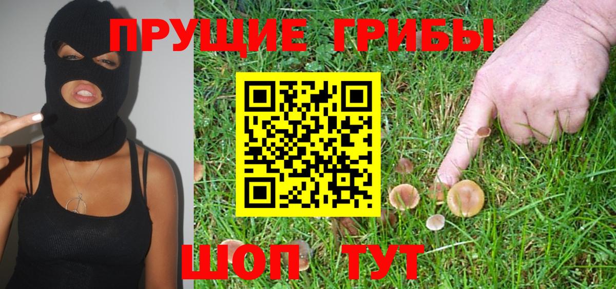 Верхняя Салда  Галлюциногенные грибы Cubensis  Вход с VPN 