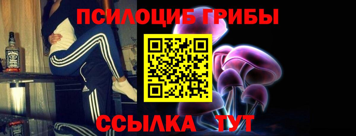 Псилоцибиновые грибы Psilocybe Верхняя Салда